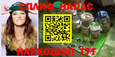 индика Гусиноозёрск
