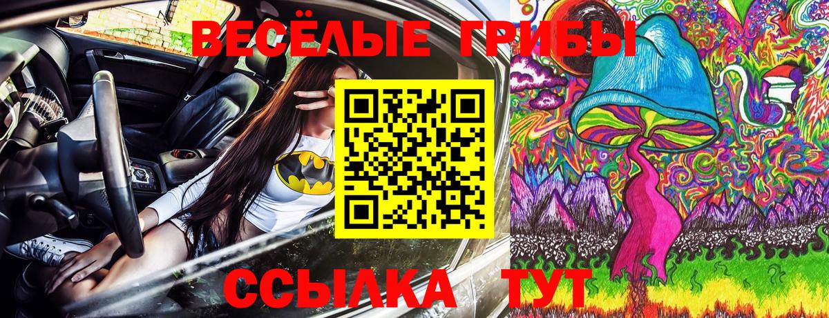 Нижнеудинск  Галлюциногенные грибы ЛСД  Вход с VPN 